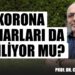 Korona Damarları da Etkiliyor mu?-Prof. Dr. Coşkun Usta