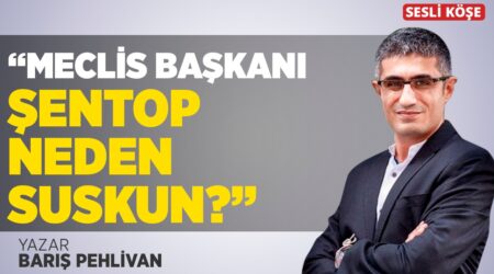 Barış Pehlivan- “Meclis Başkanı Şentop Neden Suskun?”