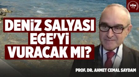 Deniz Salyası Ege’yi Vuracak mı? Prof. Dr. Ahmet Cemal Saydam