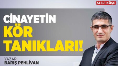 Barış Pehlivan-Cinayetin Kör Tanıkları