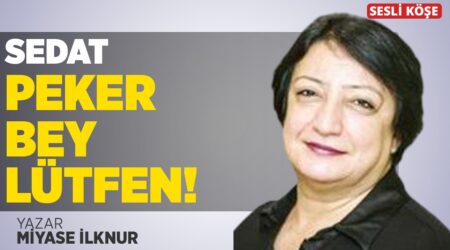 Miyase İlknur – “Sedat Peker Bey Lütfen!”