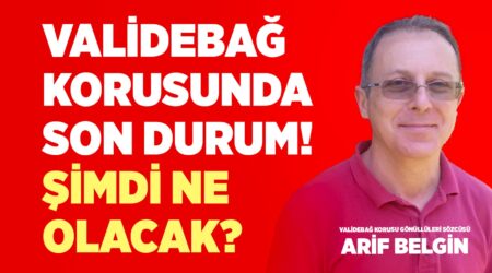 Validebağ Korusunda Son Durum! Şimdi Ne Olacak? -Validebağ Korusu Gönüllüleri Sözcüsü Arif Belgin