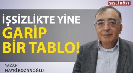 Hayri Kozanoğlu – İşsizlikte Yine Garip Bir Tablo | Sesli Köşe