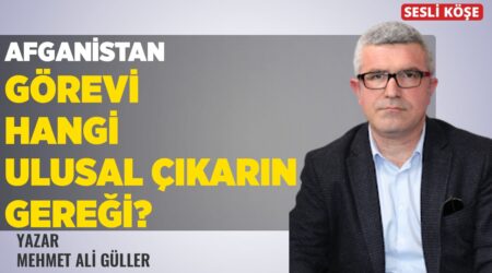 Erhan Nalçacı: “Haiti Suikastı ve Küba Komplosunu Birlikte Değerlendirmek”