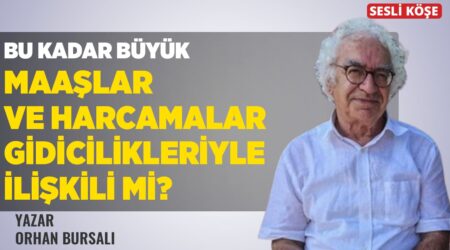 Orhan Bursalı: “Bu Kadar Büyük Maaşlar ve Harcamalar Gidicilikleriyle İlişkili Mi?”