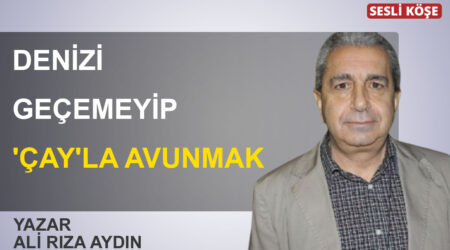 Barış Terkoğlu-Yangın söndüremeyen bir yalakalık öyküsü