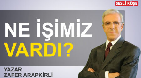 Zafer Arapkirli-Ne işimiz vardı?