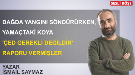 Evren Devrim Zelyut-AKP’den büyük kopuş!