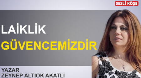 İbrahim Ö. Kaboğlu-Tek adam/Anayasa/ halk yönetimi