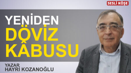 İsmail Saymaz:”Katledilen ailenin ‘Koruma’ isteğini valiliğe göndermemişler”