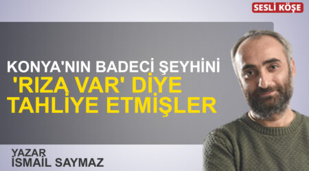 Barış Pehlivan:”Erdoğan’a Neler Oluyor?”