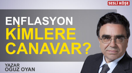 Barış Pehlivan:”Erdoğan’a Neler Oluyor?”