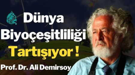 Prof. Dr. Ali Demirsoy: “Çin’de Düzenlenen COP15 Çok Önemli”