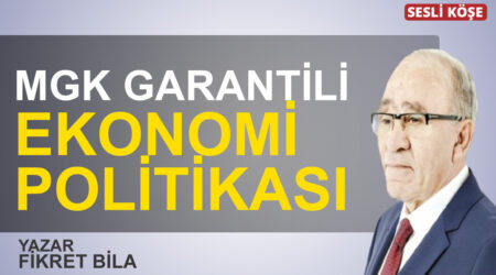 Orhan Bursalı: “‘Çin usulü kalkınma mı’ yoksa ipini koparmış boğanın saldırısı mı?”