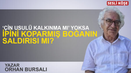 Orhan Bursalı: “‘Çin usulü kalkınma mı’ yoksa ipini koparmış boğanın saldırısı mı?”
