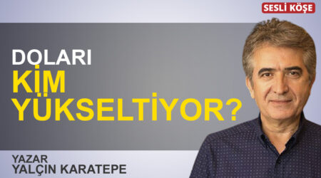 Yalçın Karatepe: “Doları kim yükseltiyor?”