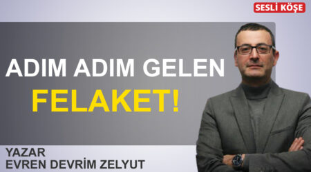 Evren Devrim Zelyut: ‘Adım adım gelen felaket’