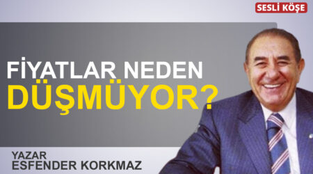 Erol Manisalı: “Siyasette ve ekonomide ‘oligarşileşme’nin sonuçları”