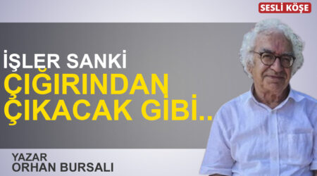 Selcan Taşcı: “AK Partili Başkanlar Siirt’e gitti mi?”