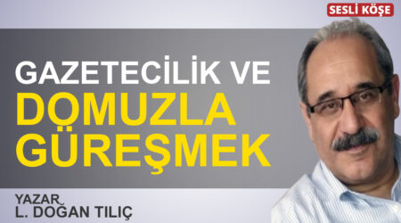 Ali Sirmen: “AKP seçime hazırlanıyor”