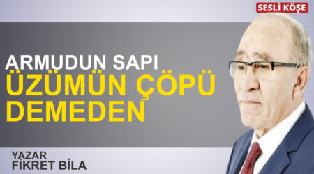 Elçin Poyrazlar: “Katiller tatilde gazeteciler hapiste”