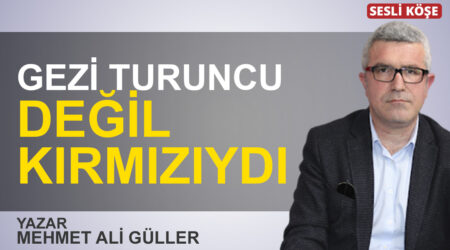 Mehmet Ali Güller: “Gezi turuncu değil kırmızıydı”