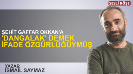 Erol Manisalı: “AKP’nin politikalarındaki ‘ironi’”