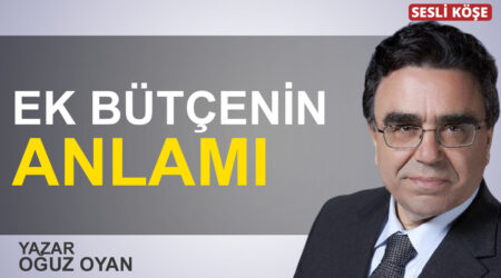 Hayri Kozanoğlu: “10 soruda BDDK’nin döviz kararı”