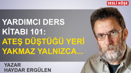 Haydar Ergülen: “Yardımcı ders kitabı 101: Ateş düştüğü yeri yakmaz yalnızca”