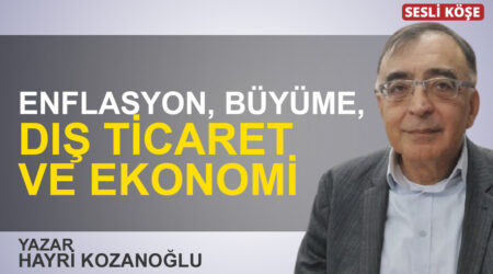 Erhan Nalçacı: “‘Orta sınıfların’ istikrar tanrısı öldü!”