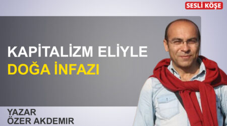 Özer Akdemir: ‘Kapitalizm eliyle doğa infazı’