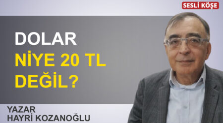 Hayri Kozanoğlu: “Dolar niye 20 TL değil?”