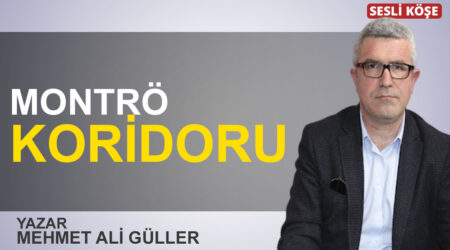 Barış Terkoğlu: “MİT’i bu işe karıştırmayın!”