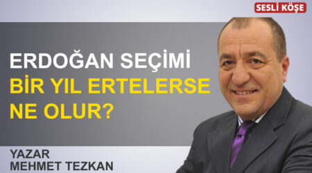 Mehmet Tezkan: “Erdoğan seçimi bir yıl ertelerse ne olur?”