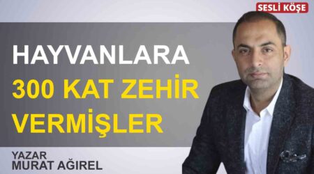 Kadir Sev: “Kamu ihaleleri rant dağıtma aracıdır”