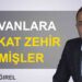 Kadir Sev: “Kamu ihaleleri rant dağıtma aracıdır”
