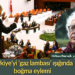 İbrahim Ö  Kaboğlu: “Emekçi canına doymayan yağmacı düzensizlik!”