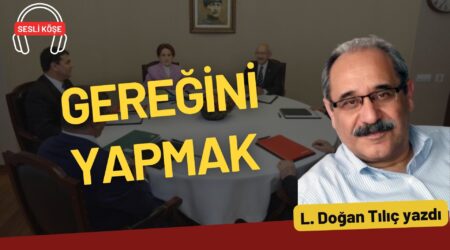Orhan Bursalı: “‘Sultanizm’in sonu için eksik temel politikalar var”