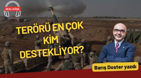 Barış Pehlivan: “Süleyman Soylu yargılanamaz mı?”