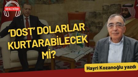 Orhan Bursalı: “‘Sultanizm’in sonu için eksik temel politikalar var”