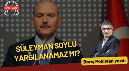 Barış Pehlivan: “Süleyman Soylu yargılanamaz mı?”
