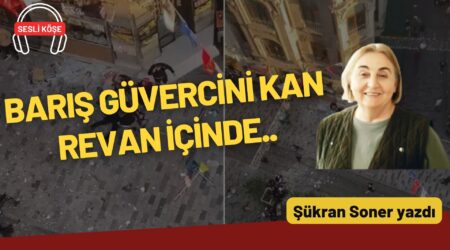 Şükran Soner: “Barış güvercini kan revan içinde..”