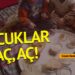 Gözde Bedeloğlu: Çocuklar aç, aç!