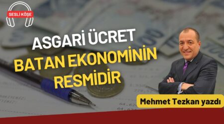 Mehmet Tezkan: “Asgari ücret batan ekonominin resmidir”