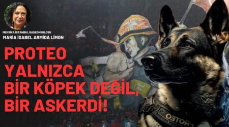 Proteo yalnızca bir köpek değil, bir askerdi!