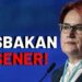 L. Doğan Tılıç: “Başbakan Akşener!”